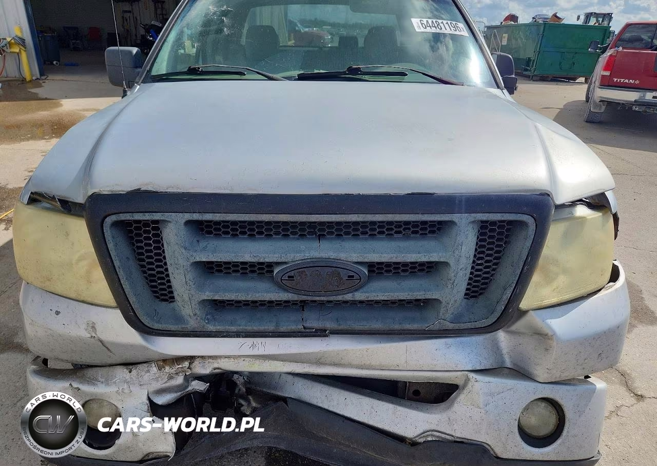 2006 Ford F150 VIN:1FTRX12W16FB60629 - 11