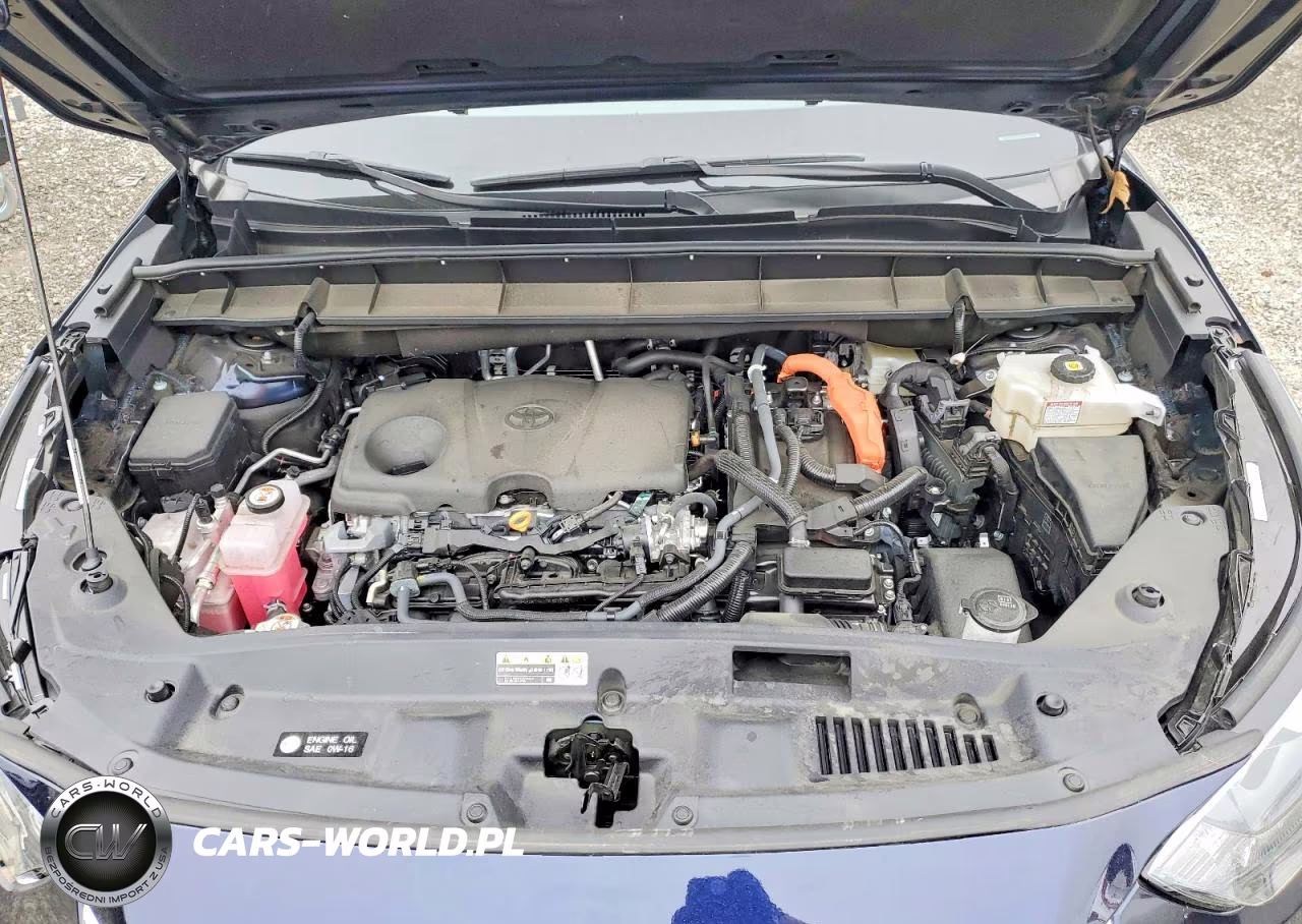 2025 Toyota Highlander Hybrid Platinum VIN:5TDEBRCH1SS662062 - 12