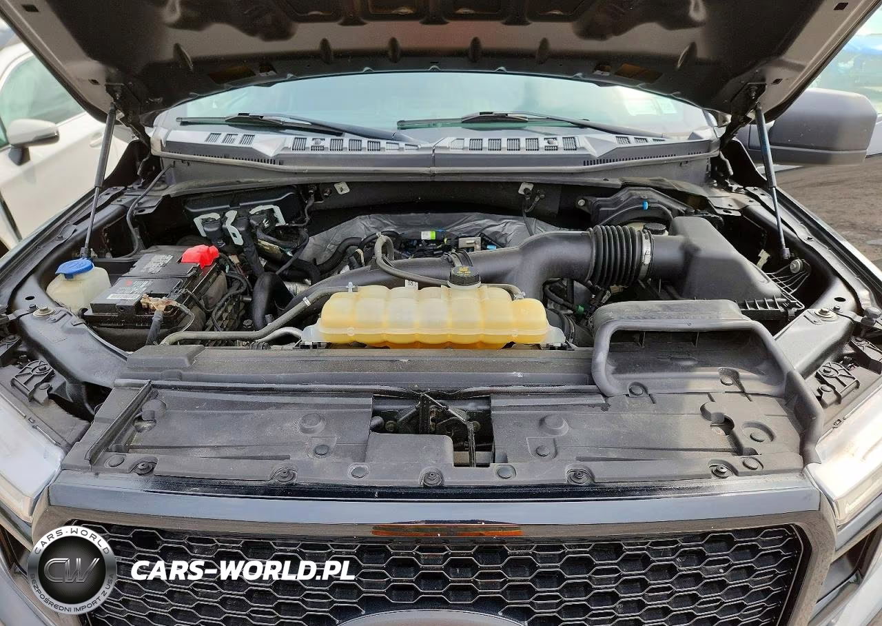2019 Ford F150 Supercrew VIN:1FTEW1EP1KFB42258 - 11