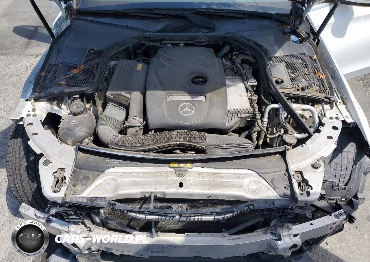 2017 Mercedes-Benz C 300 VIN:55SWF4JB4HU232127 - 11