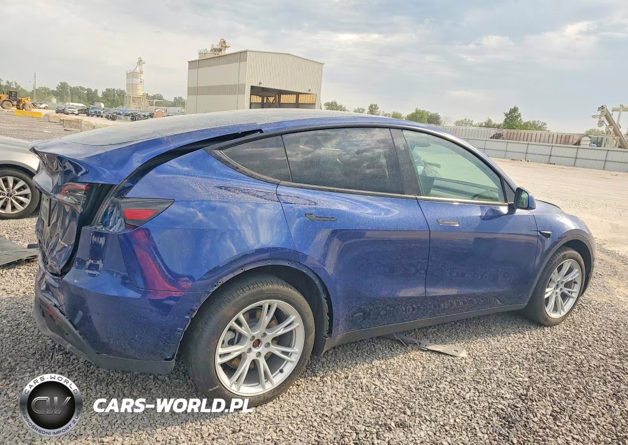 2024 Tesla Model Y VIN:7SAYGDEEXRA279434 - 3