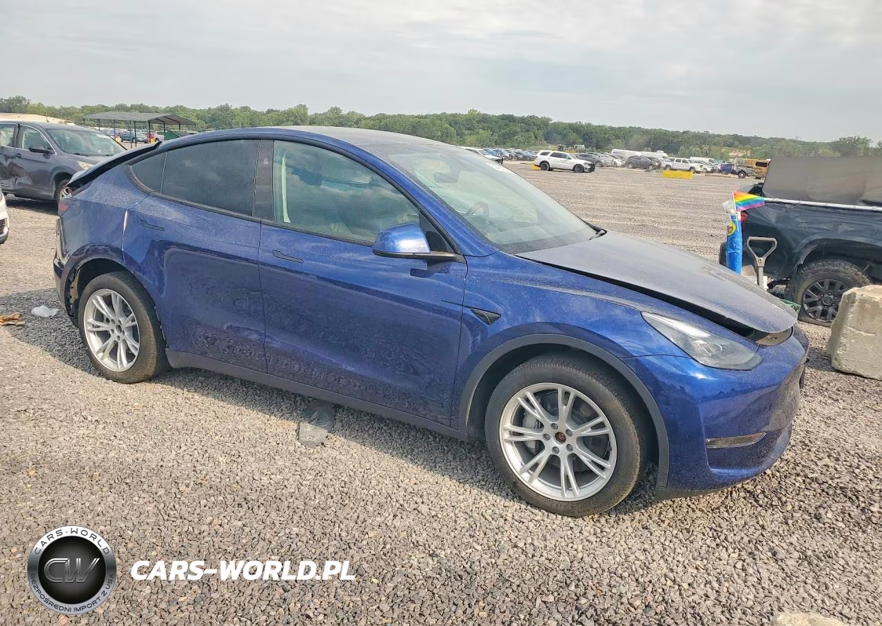2024 Tesla Model Y VIN:7SAYGDEEXRA279434 - 4