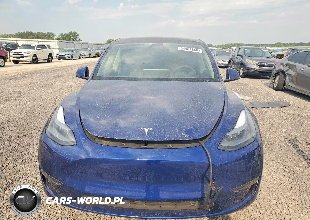 2024 Tesla Model Y VIN:7SAYGDEEXRA279434 - 5