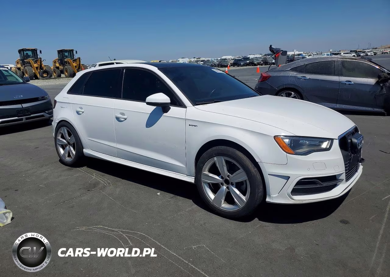 2016 Audi A3 E-Tron Premium Ultra VIN:WAUVPBFF2GA138262 - 4