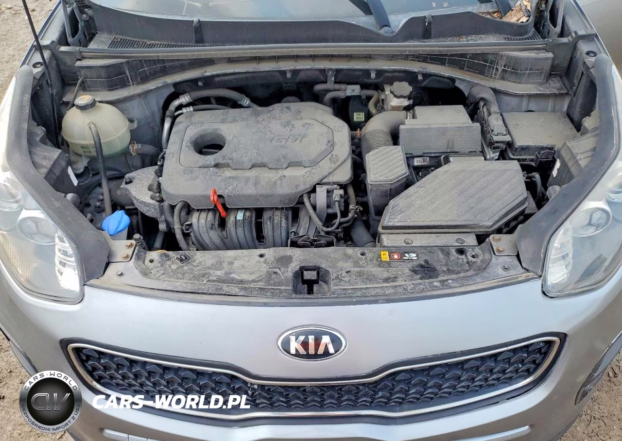 2019 Kia Sportage Lx VIN:KNDPM3AC5K7564122 - 12