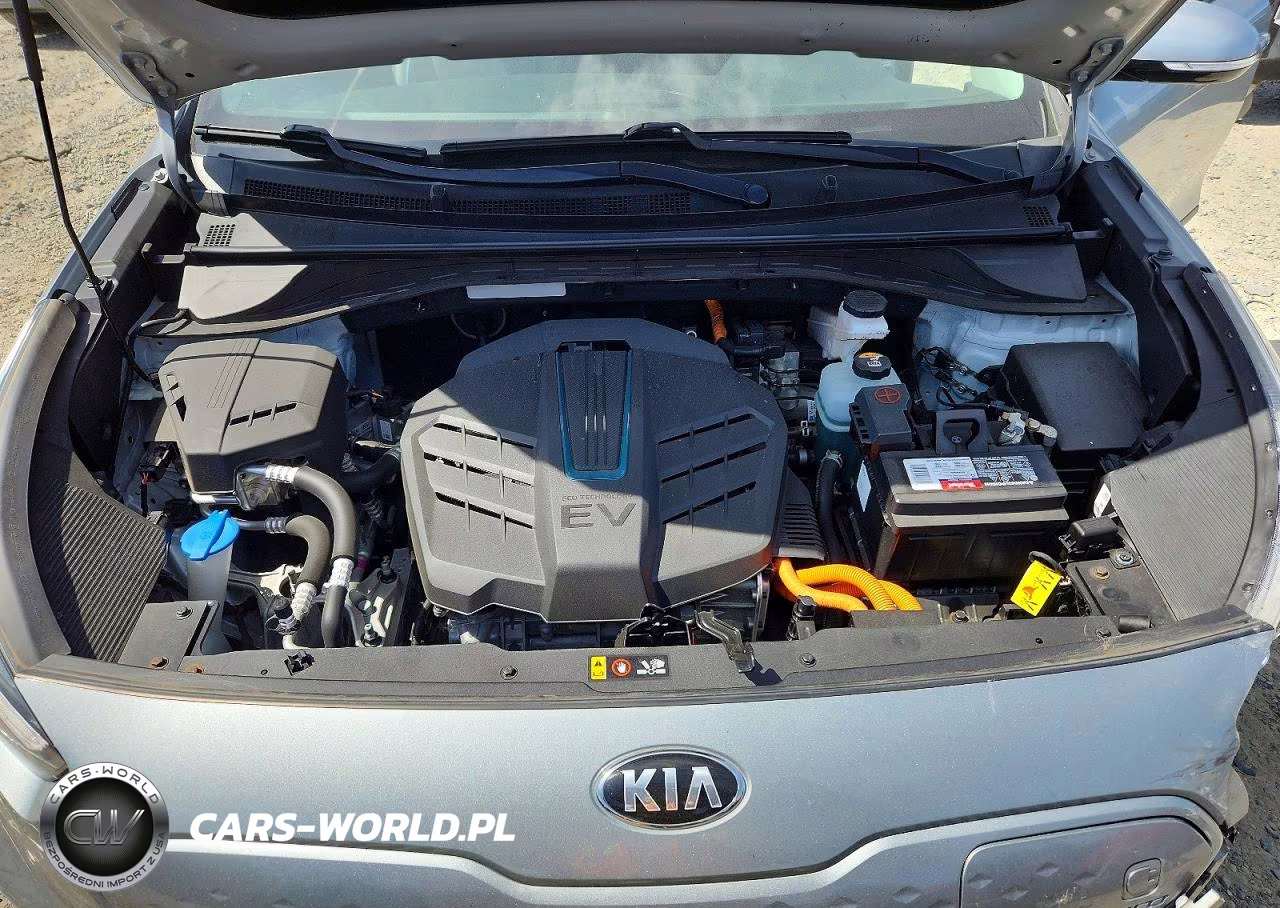 2019 Kia Niro Ex Premium VIN:KNDCE3LG5K5006083 - 12