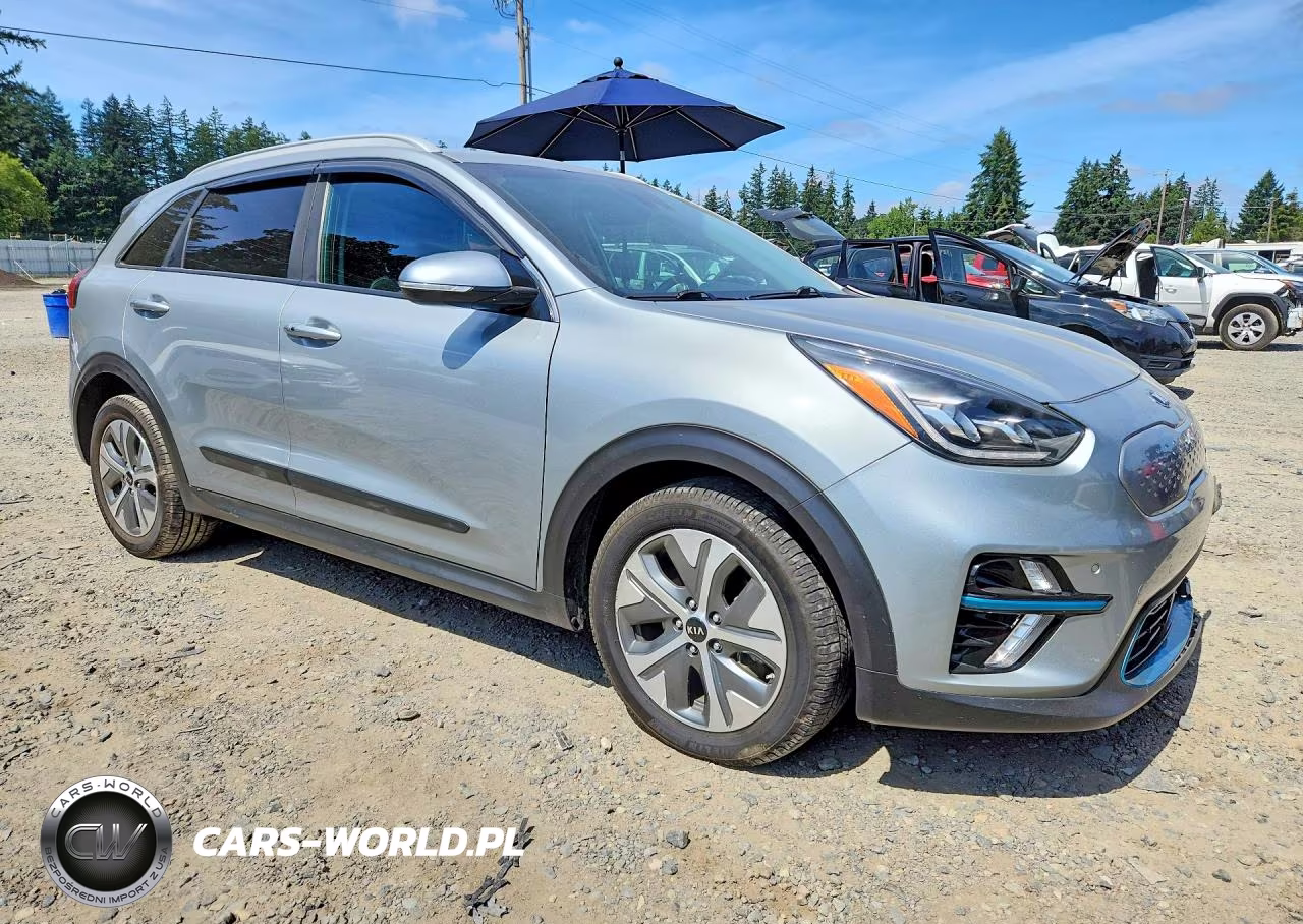 2019 Kia Niro Ex Premium VIN:KNDCE3LG5K5006083 - 4