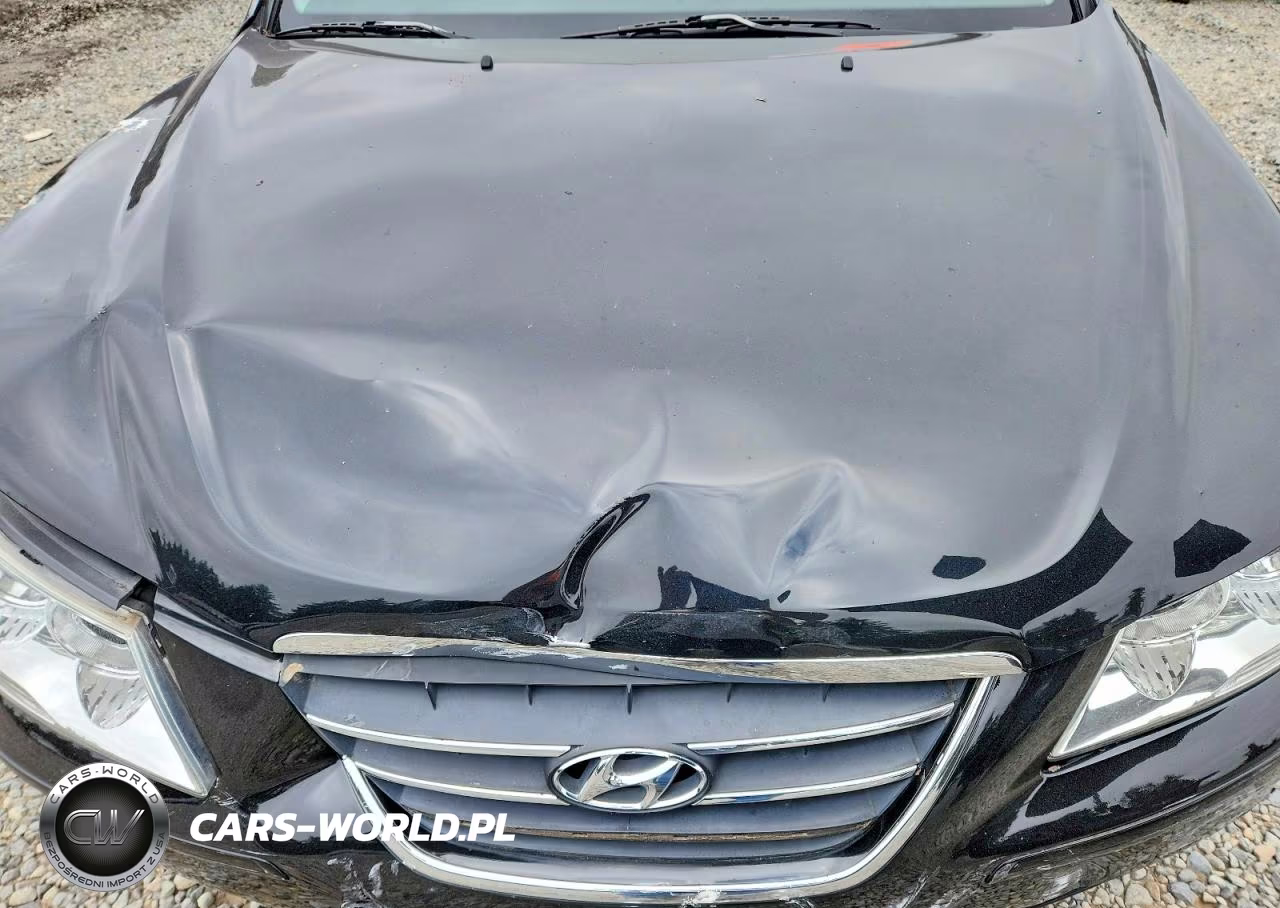 2010 Hyundai Sonata Gls VIN:5NPET4AC0AH627850 - 11