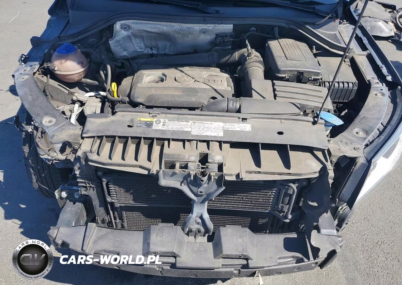 2014 Volkswagen Tiguan S VIN:WVGAV3AX7EW504208 - 11