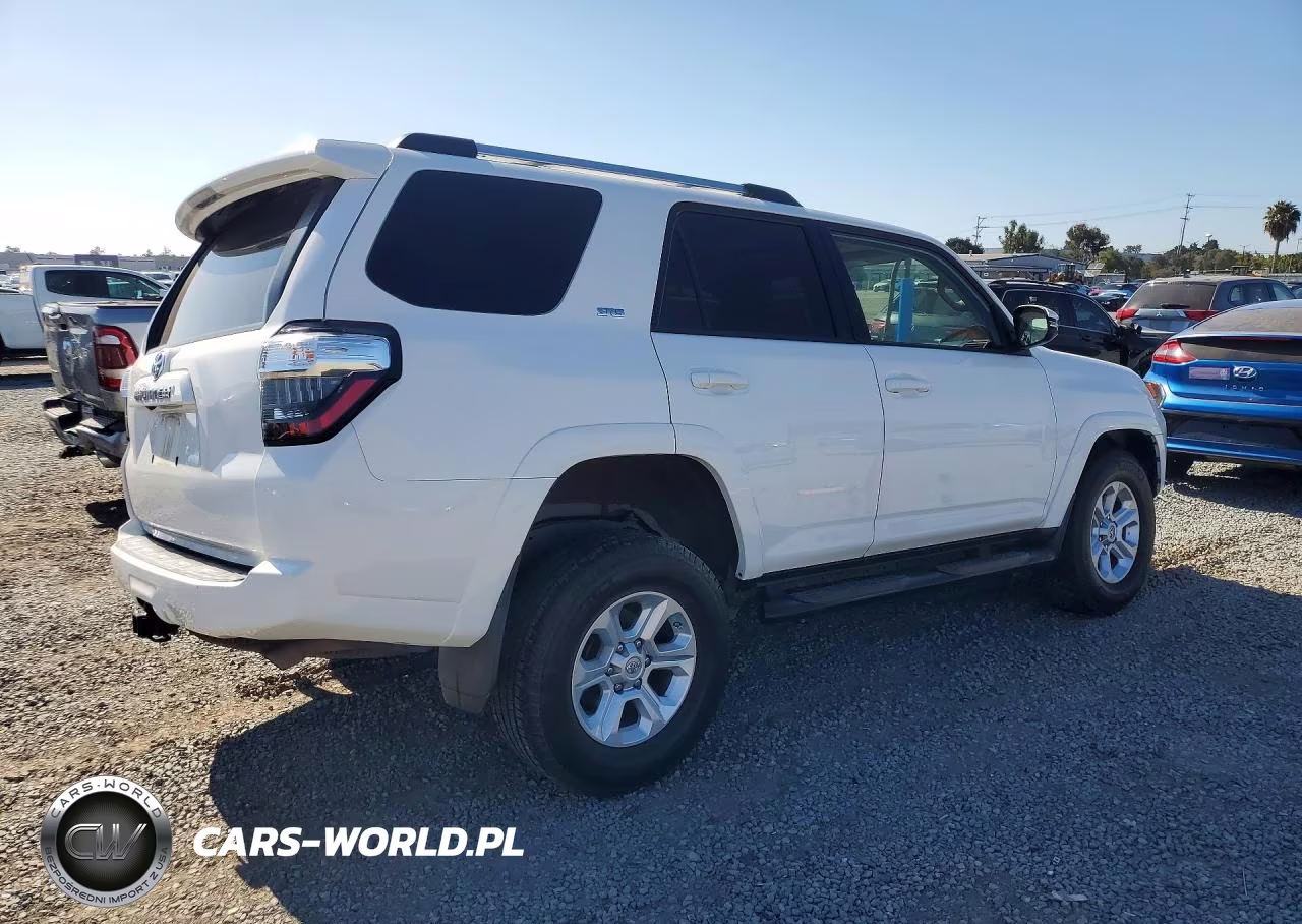 2019 Toyota 4Runner Sr5 Premium VIN:JTEBU5JR5K5719656 - 3