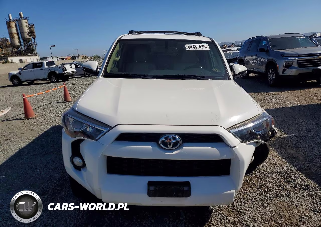2019 Toyota 4Runner Sr5 Premium VIN:JTEBU5JR5K5719656 - 5