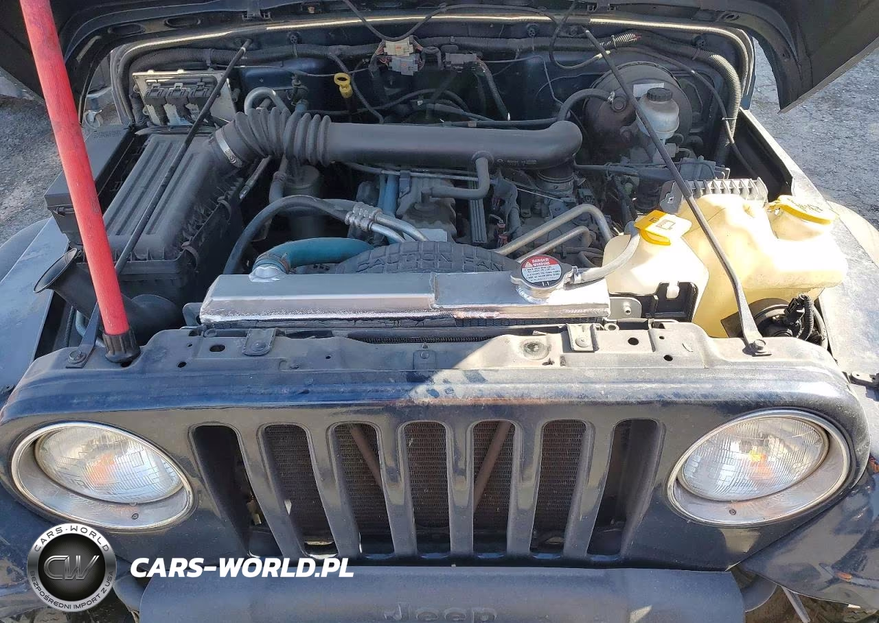 2004 Jeep Wrangler - Tj Rubicon VIN:1J4FA69S14P710577 - 11