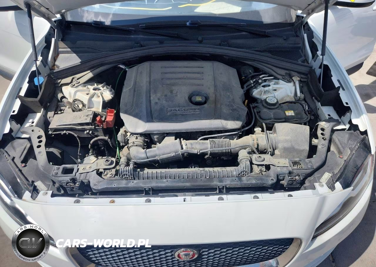 2017 Jaguar F-Pace Prestige VIN:SADCK2BN5HA088341 - 12