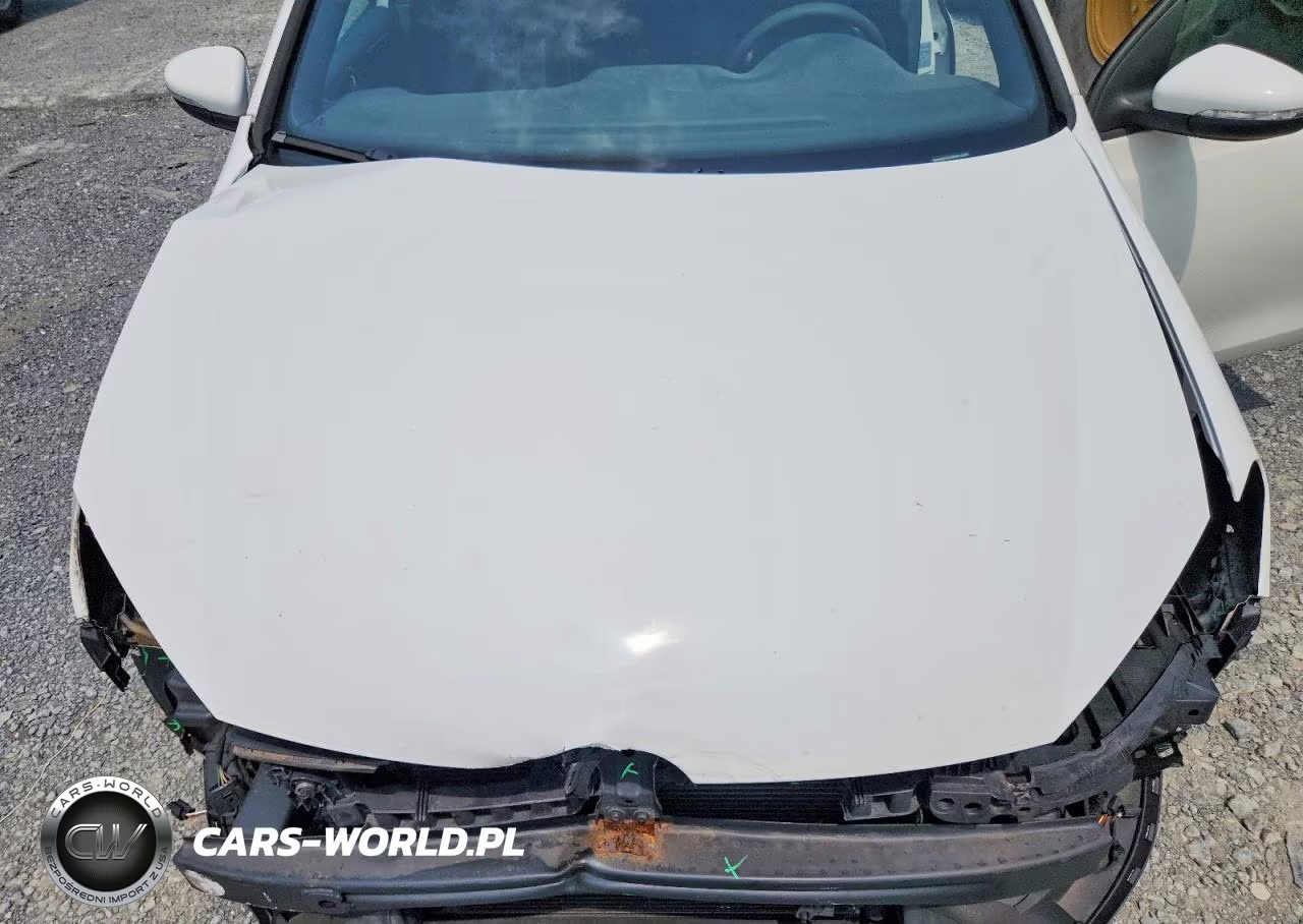 2014 Volkswagen Gti VIN:WVWGD7AJ3EW010495 - 11