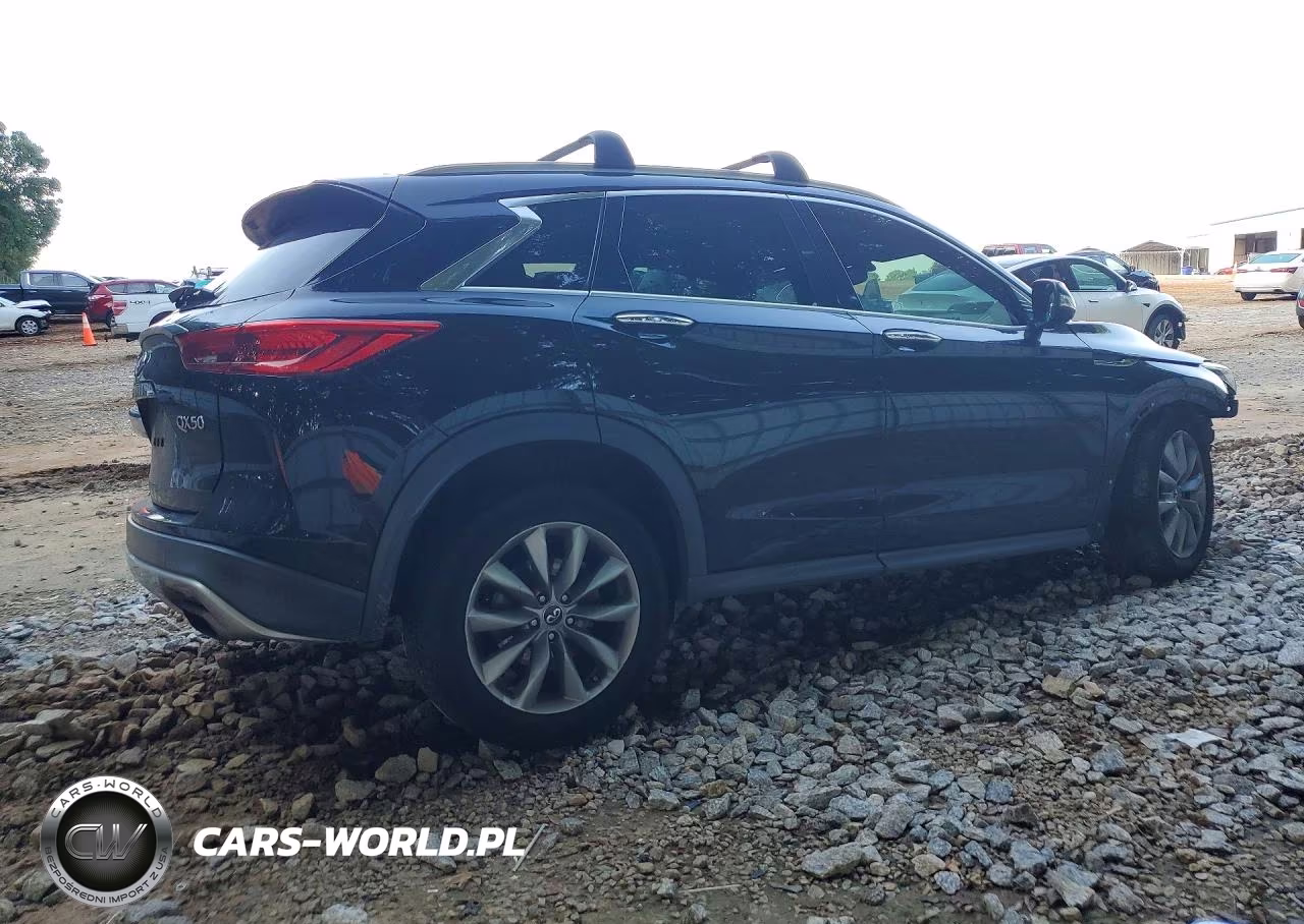 2019 Infiniti Qx50 Luxe VIN:3PCAJ5M32KF131048 - 3