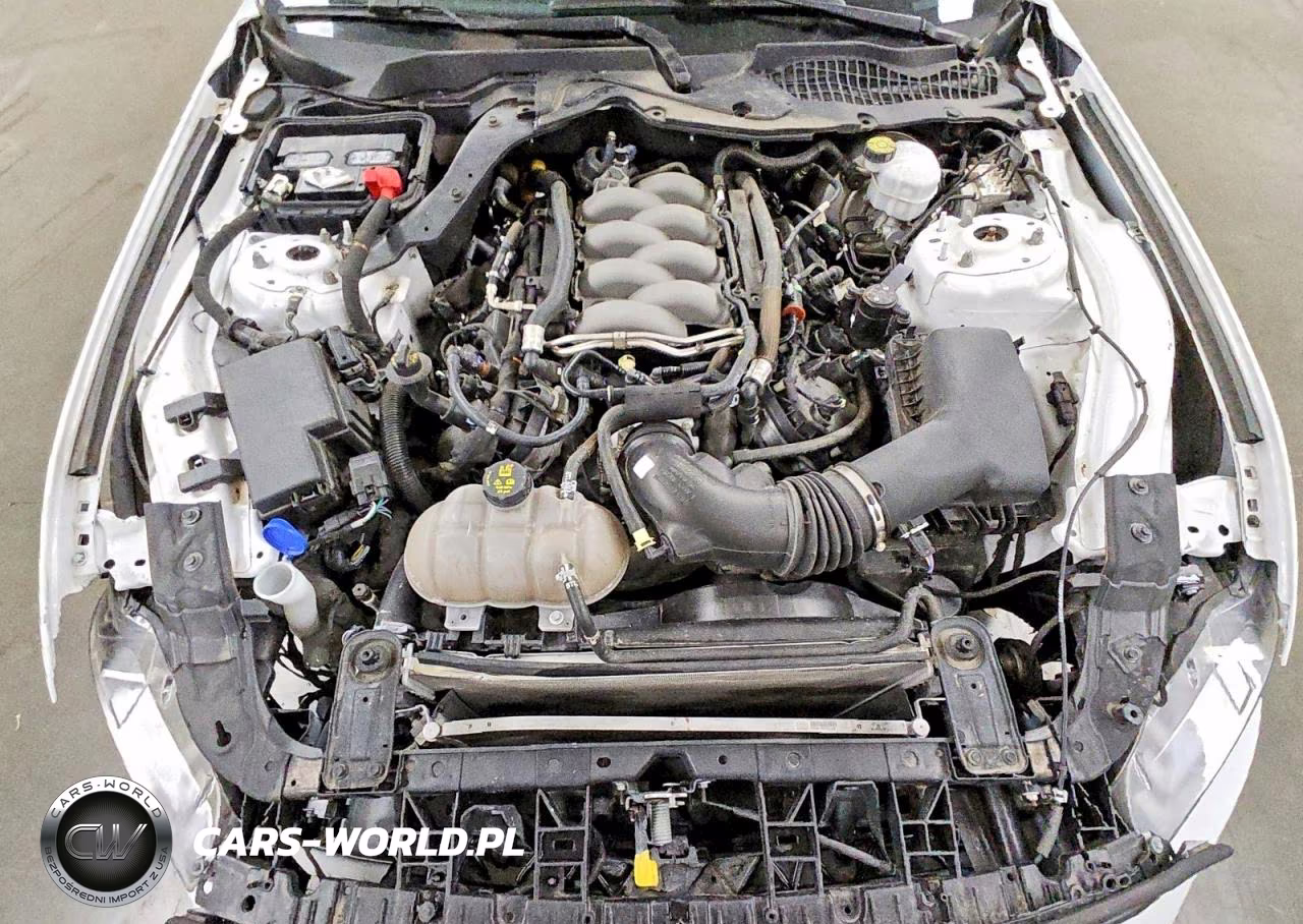 2020 Ford Mustang Gt VIN:1FA6P8CF3L5169074 - 11