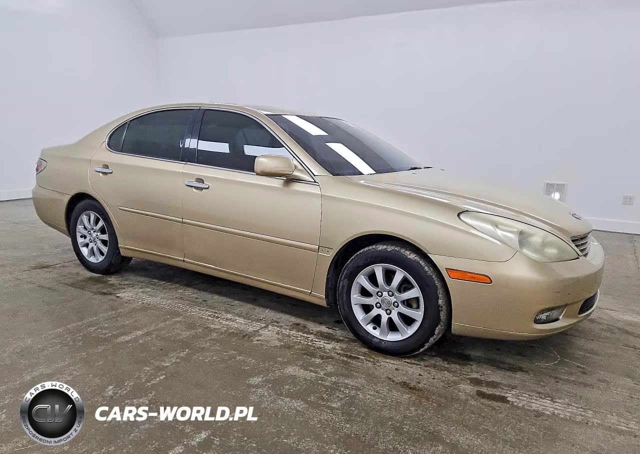 2002 Lexus Es 300 VIN:JTHBF30G420049676 - 4