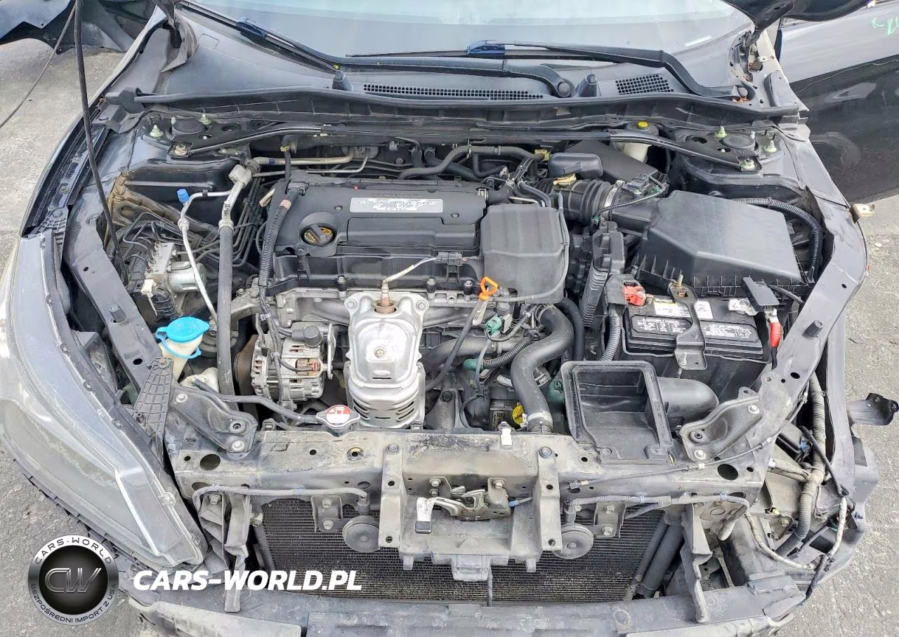 2014 Honda Accord Exl VIN:1HGCR2F85EA206008 - 11