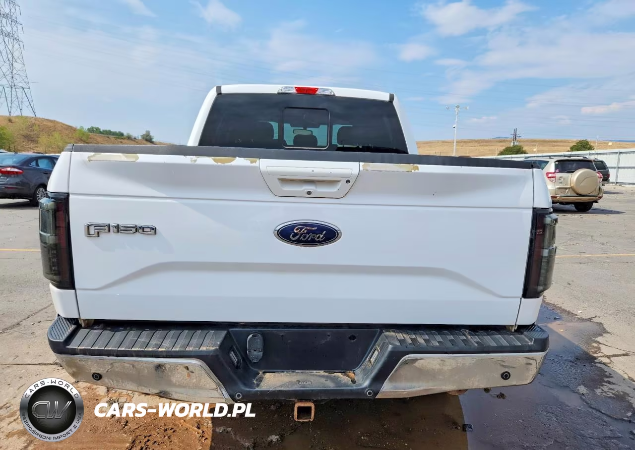 2017 Ford F150 Supercrew VIN:1FTEW1EF1HKD01223 - 6