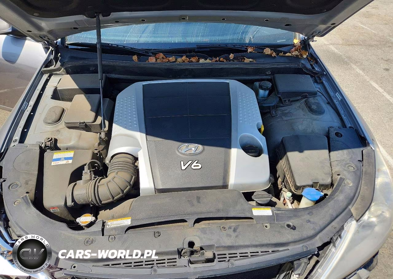 2011 Hyundai Genesis 3.8L VIN:KMHGC4DEXBU140941 - 11