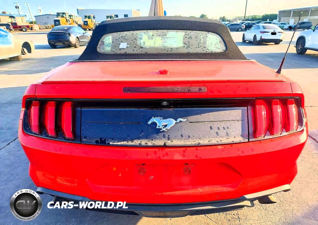 2021 Ford Mustang VIN:1FATP8UH4M5100642 - 6