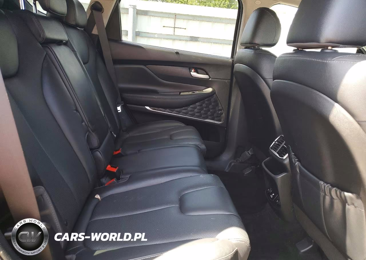 2020 Hyundai Santa Fe Limited VIN:5NMS53AD6LH224813 - 11