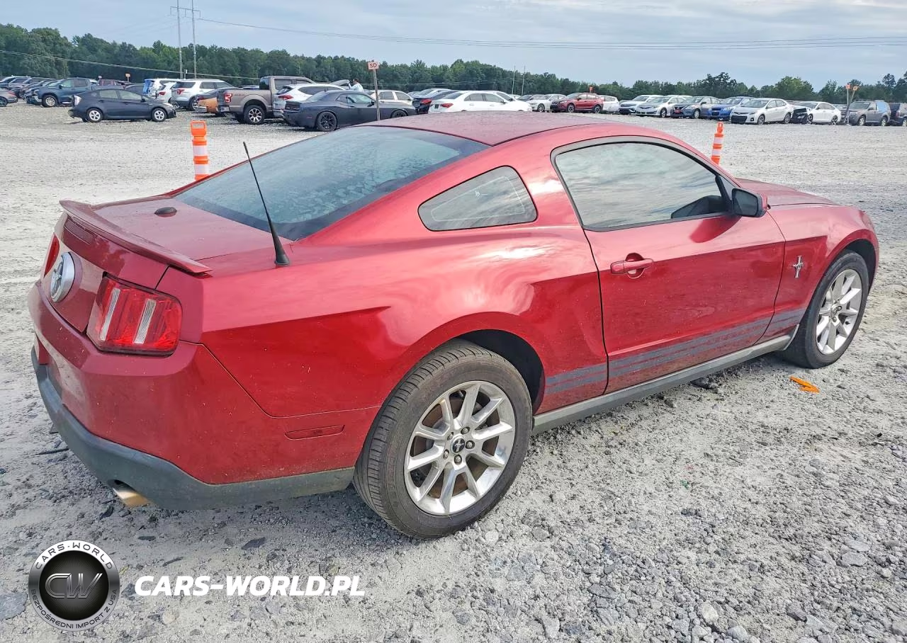 2010 Ford Mustang VIN:1ZVBP8AN7A5123521 - 3