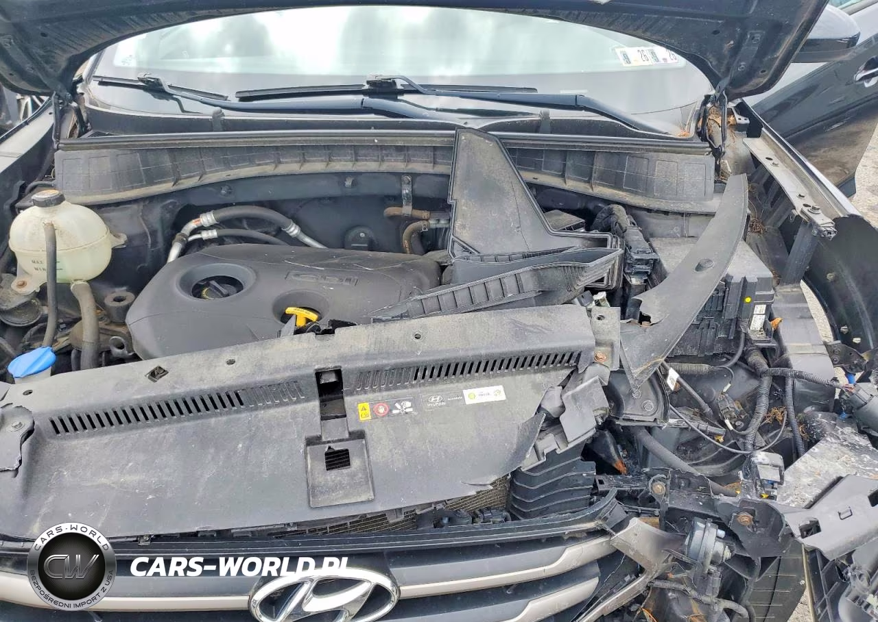 2016 Hyundai Tucson Se VIN:KM8J3CA42GU188582 - 12