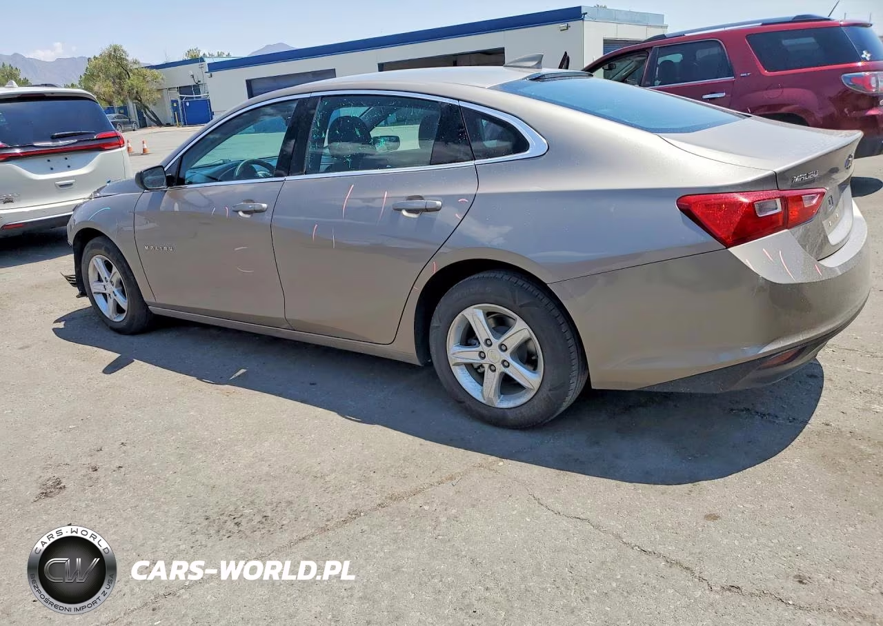 2023 Chevrolet Malibu Lt VIN:1G1ZD5ST0PF177826 - 2