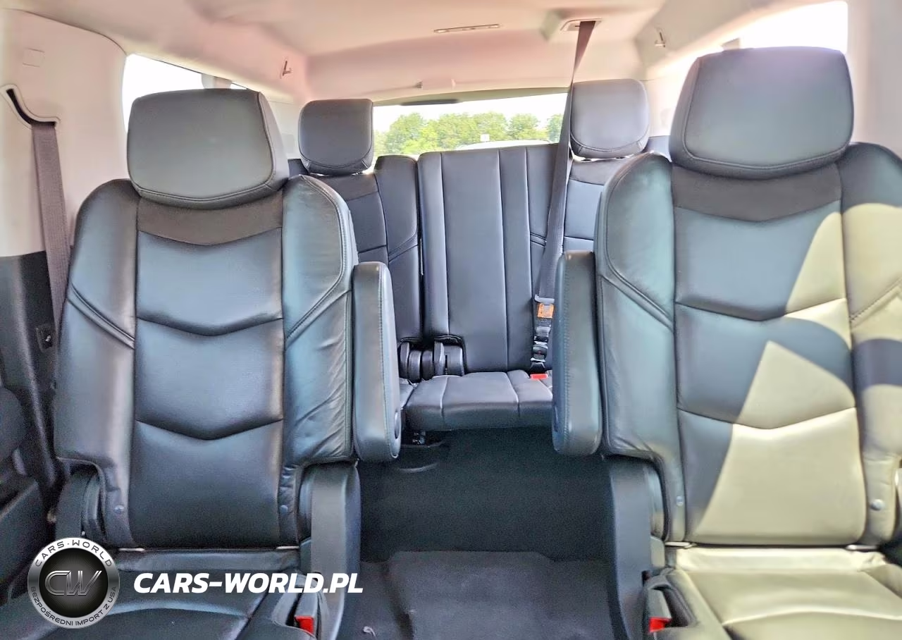 2020 Cadillac Escalade Esv Luxury VIN:1GYS3HKJ6LR189459 - 10