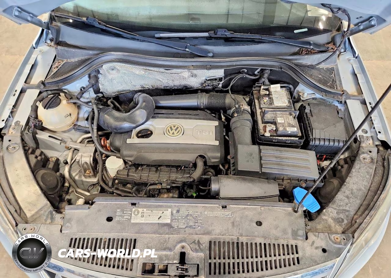 2010 Volkswagen Tiguan Se VIN:WVGBV7AX3AW511548 - 12