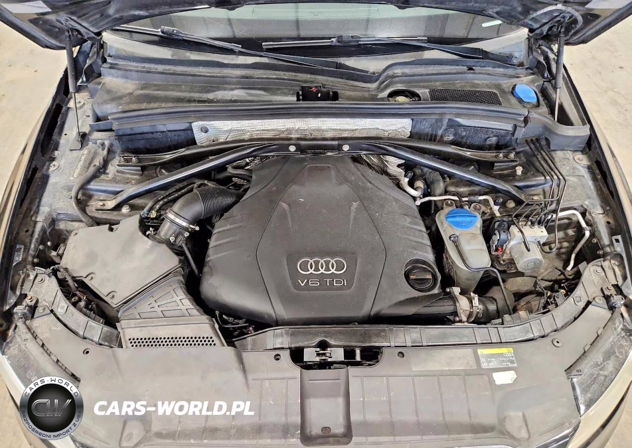 2014 Audi Q5 Tdi Premium Plus VIN:WA1CMAFP5EA012846 - 12