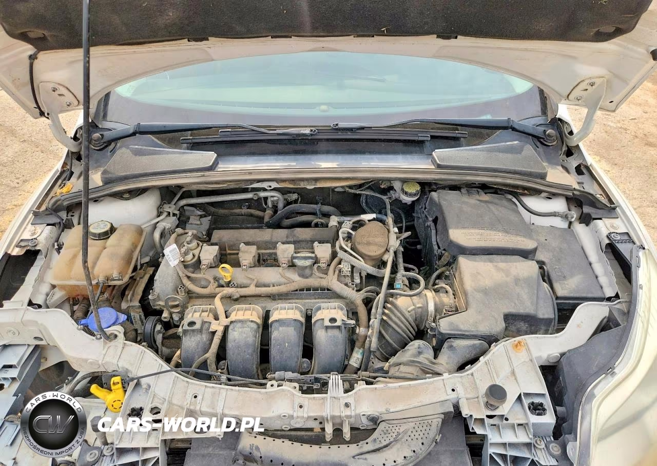 2013 Ford Focus Titanium VIN:1FADP3J21DL144732 - 11