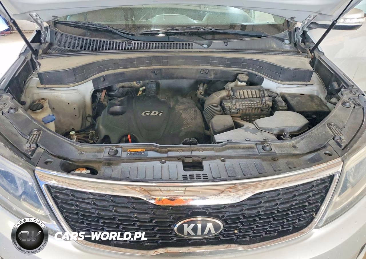 2014 Kia Sorento Lx VIN:5XYKT3A6XEG428048 - 12