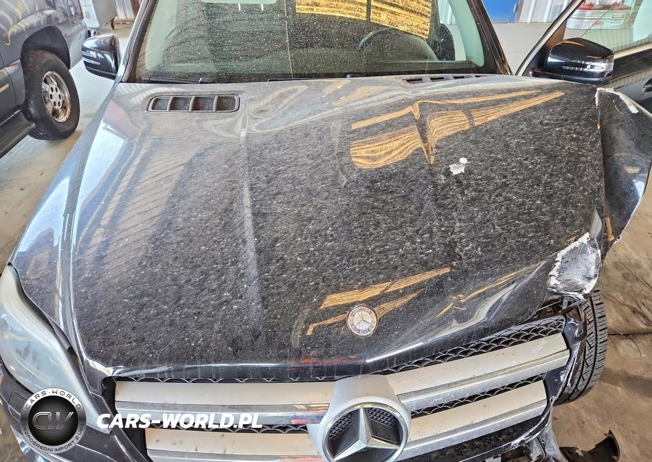 2014 Mercedes-Benz Gl 450 4Matic VIN:4JGDF7CE5EA290264 - 12