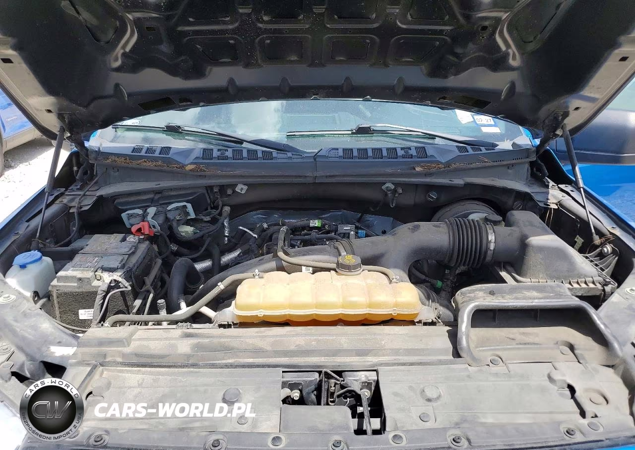 2020 Ford F150 Supercrew VIN:1FTEW1CP7LKF36830 - 11
