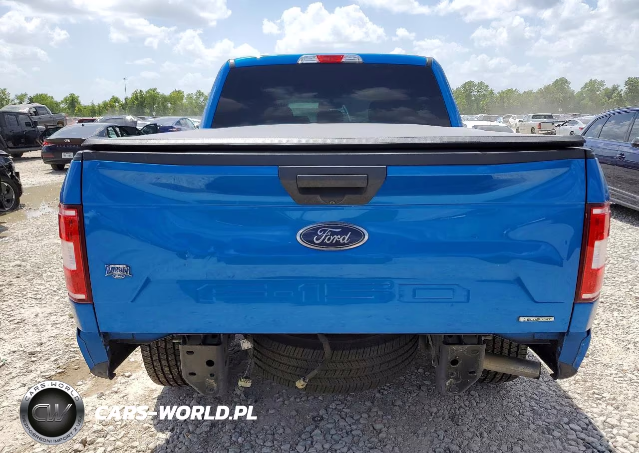 2020 Ford F150 Supercrew VIN:1FTEW1CP7LKF36830 - 6
