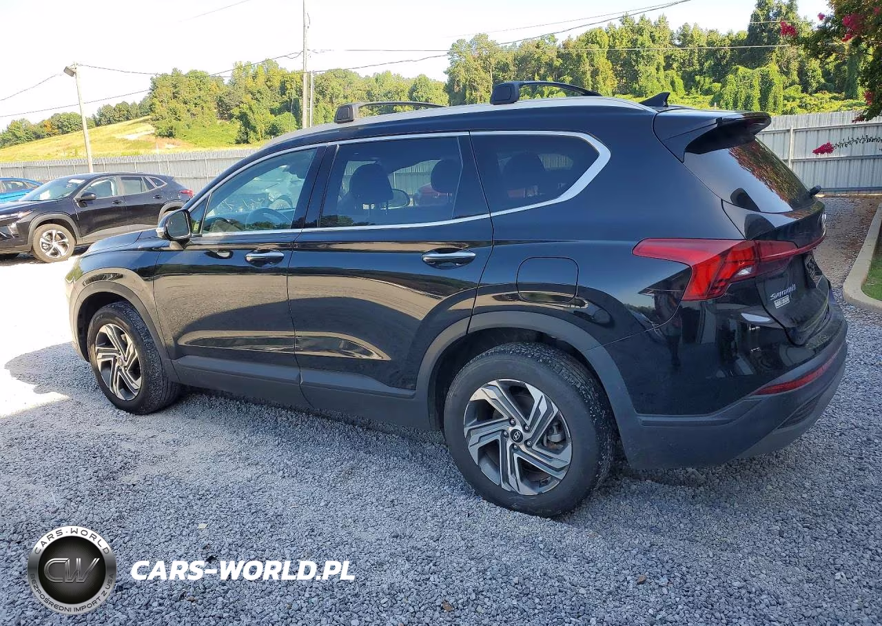 2023 Hyundai Santa Fe Sel VIN:5NMS24AJ7PH607623 - 2