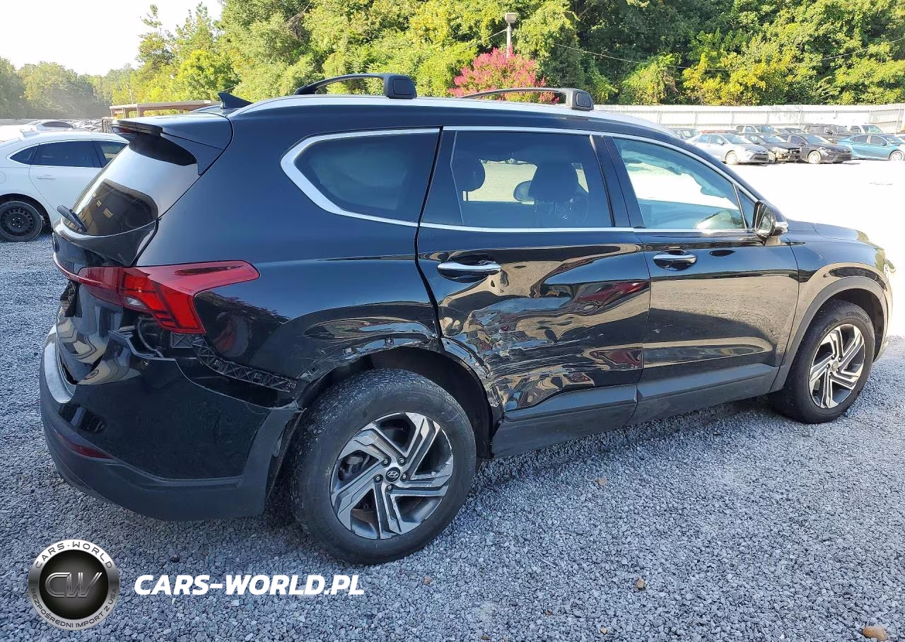 2023 Hyundai Santa Fe Sel VIN:5NMS24AJ7PH607623 - 3