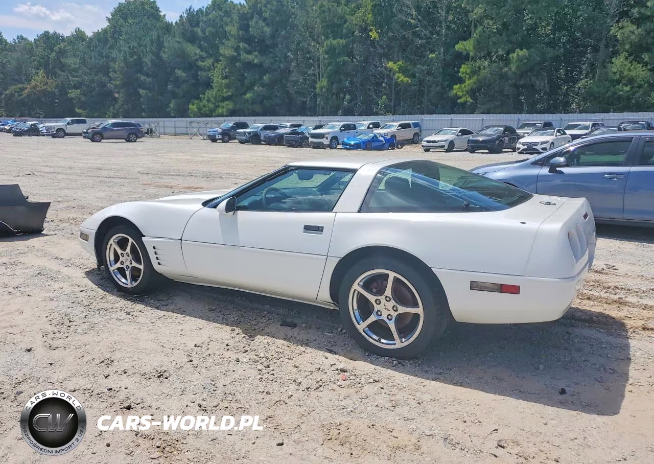 1993 Chevrolet Corvette VIN:1G1YY23PXP5103772 - 2