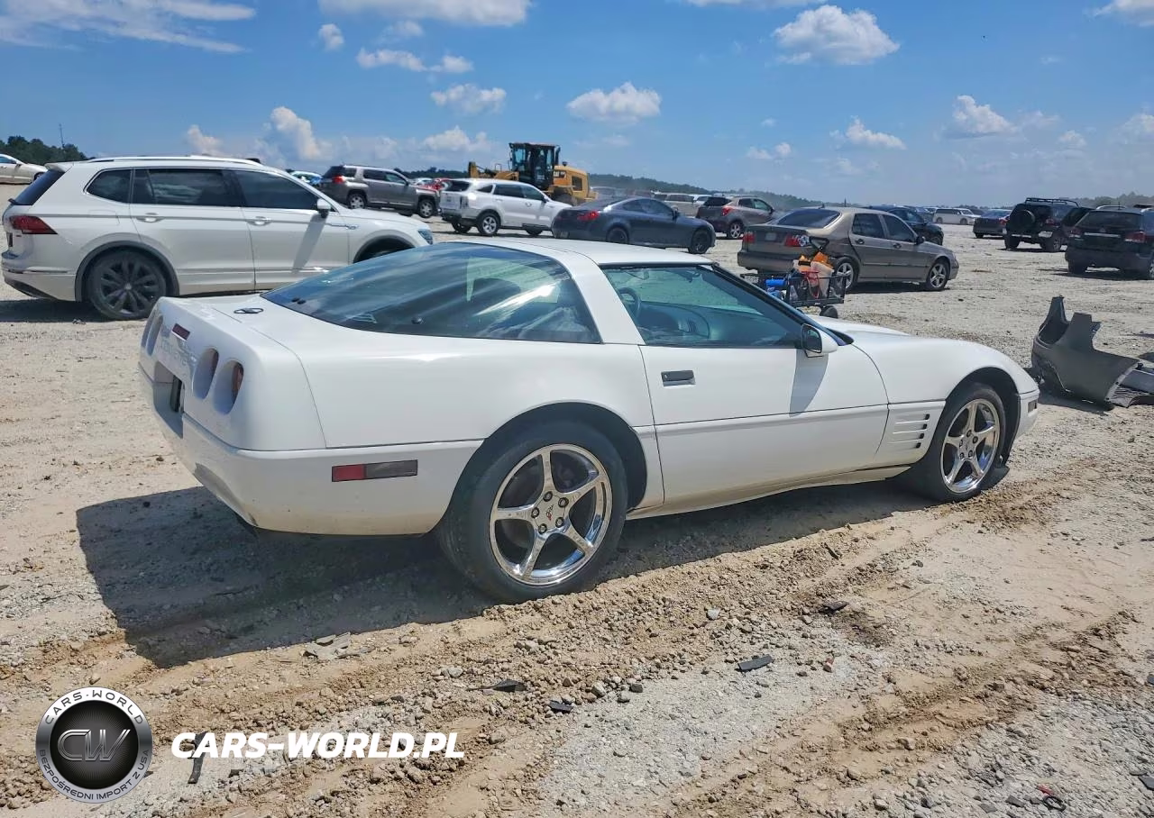 1993 Chevrolet Corvette VIN:1G1YY23PXP5103772 - 3