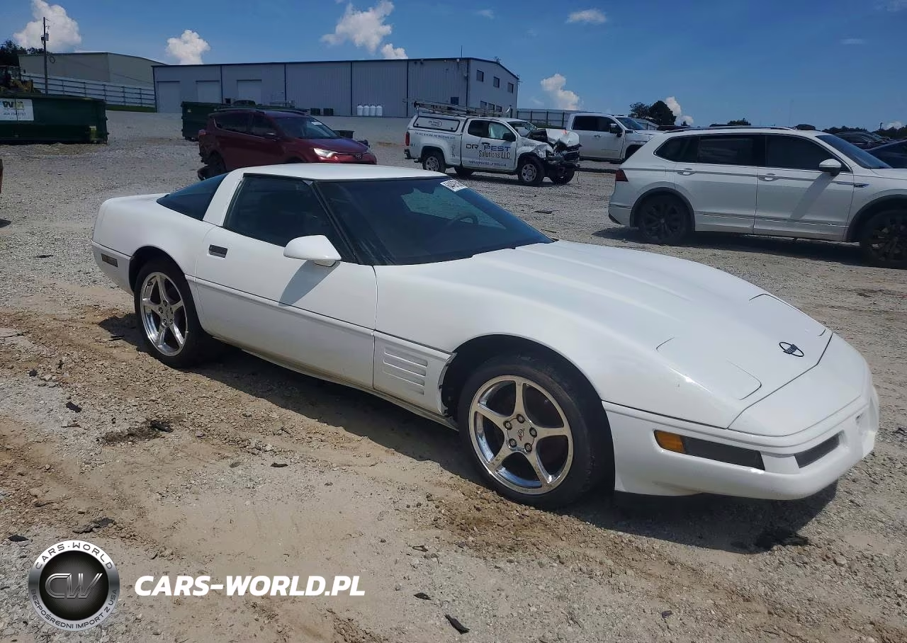 1993 Chevrolet Corvette VIN:1G1YY23PXP5103772 - 4