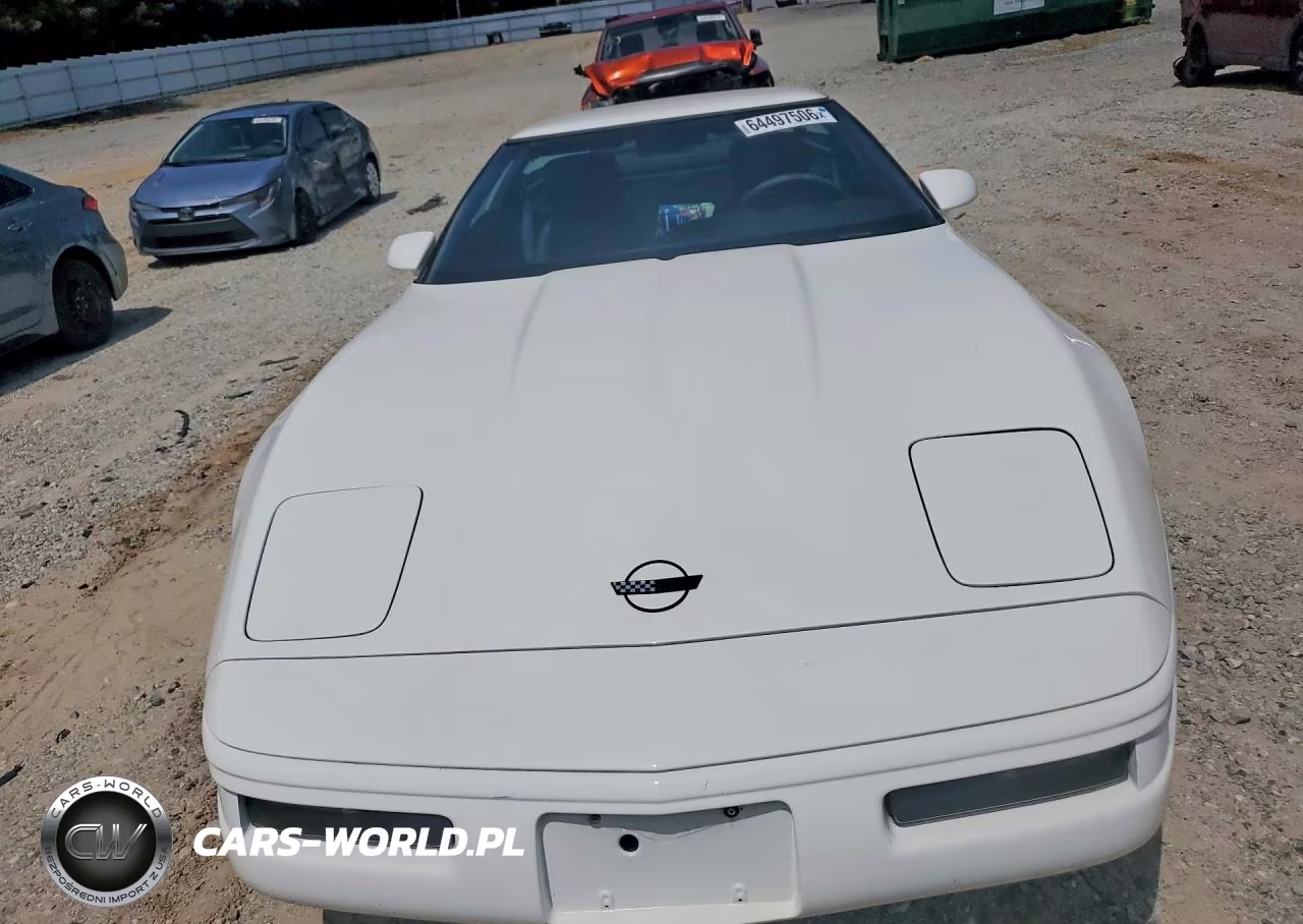 1993 Chevrolet Corvette VIN:1G1YY23PXP5103772 - 5