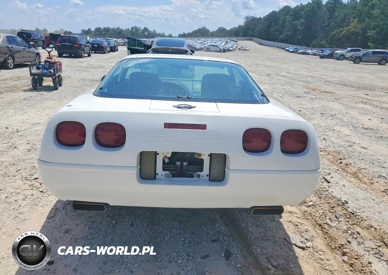 1993 Chevrolet Corvette VIN:1G1YY23PXP5103772 - 6