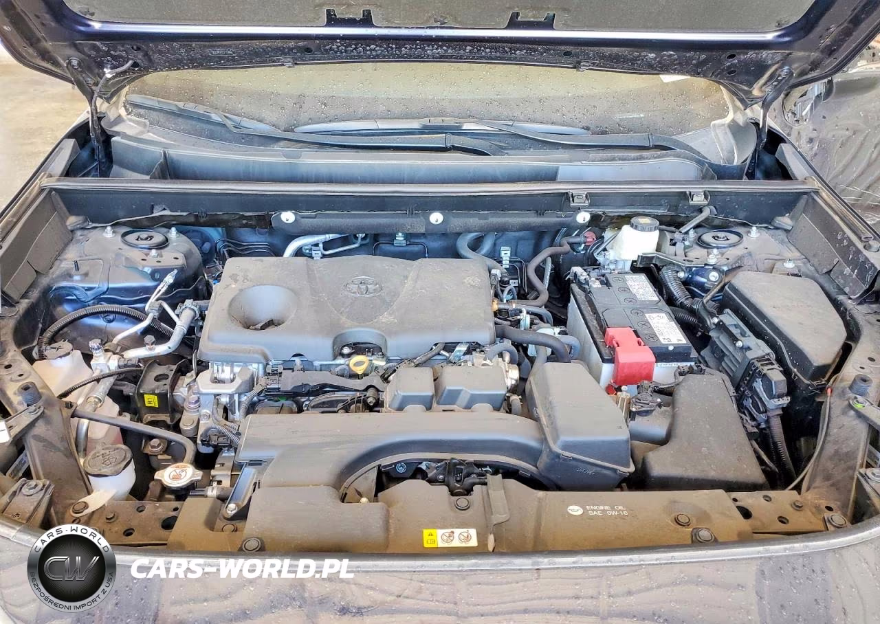 2025 Toyota Rav4 Xle VIN:2T3W1RFV1SW416300 - 12