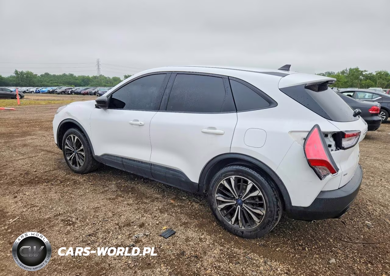 2022 Ford Escape Se VIN:1FMCU0G67NUA31480 - 2