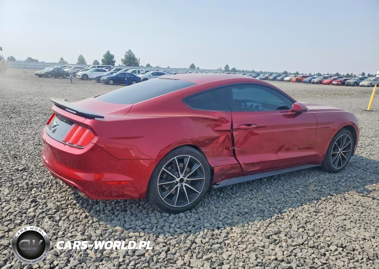 2016 Ford Mustang VIN:1FA6P8TH6G5334557 - 3