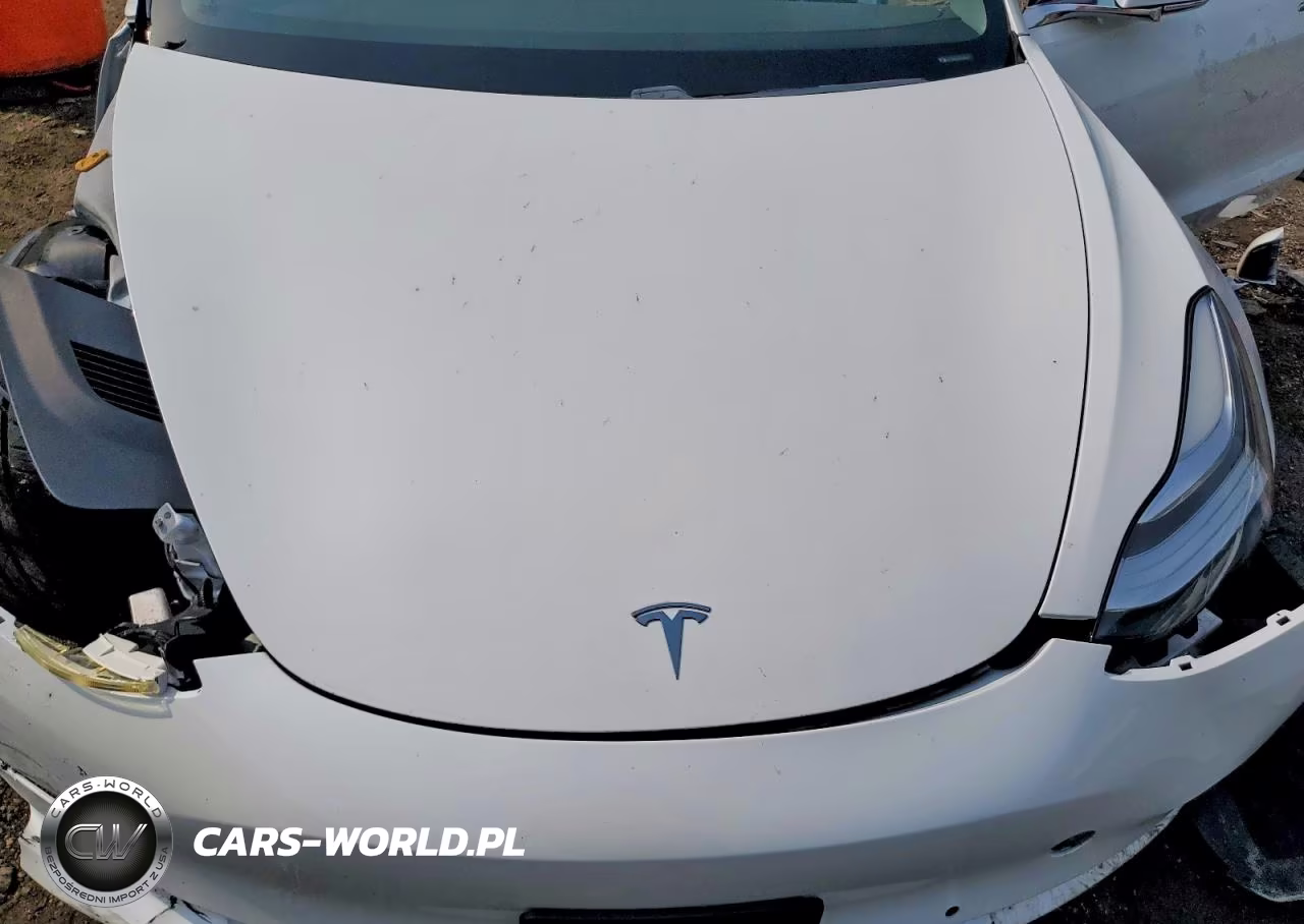 2019 Tesla Model 3 VIN:5YJ3E1EA4KF486614 - 11