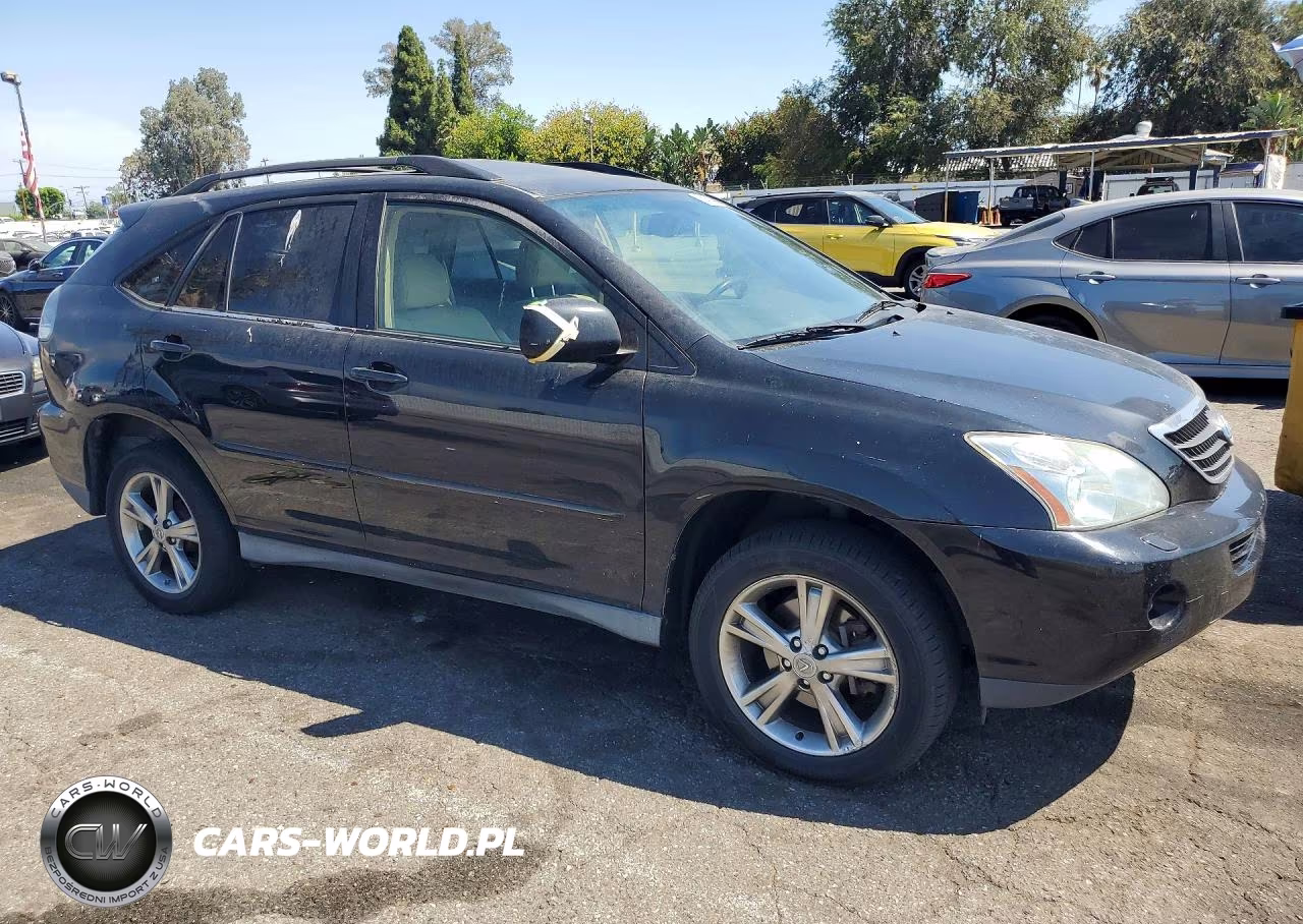 2006 Lexus Rx 400 VIN:JTJHW31U360017076 - 4