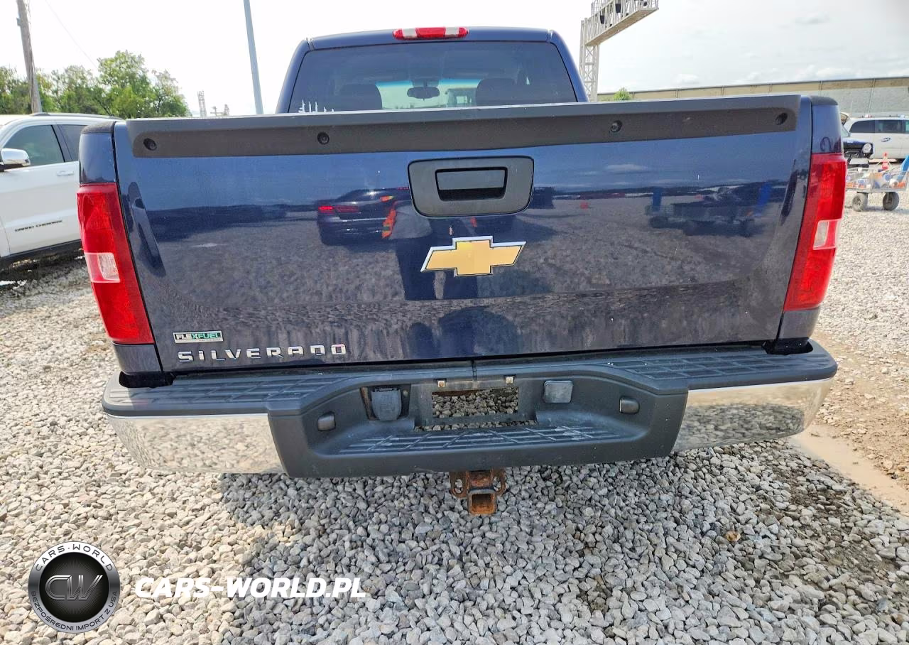 2010 Chevrolet Silverado K1500 VIN:1GCSKPEA6AZ255925 - 6